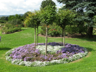 Rosarium Sangerhausen